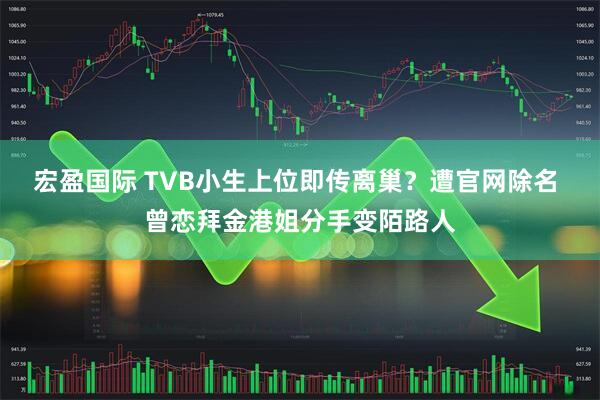 宏盈国际 TVB小生上位即传离巢？遭官网除名 曾恋拜金港姐分手变陌路人
